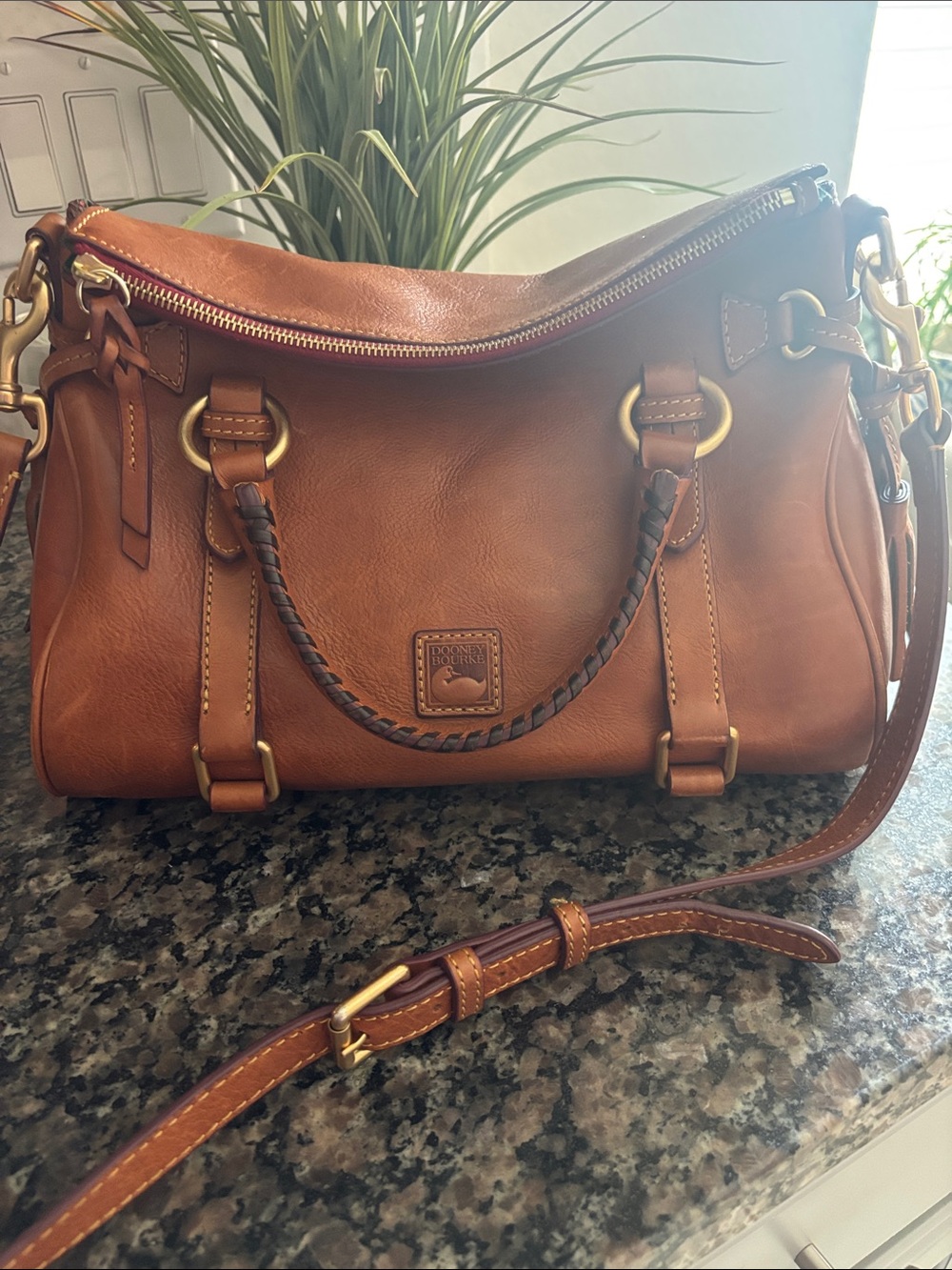 Dooney & Bourke Chestnut Brown Leather Shoulder Bag with Braided Handle